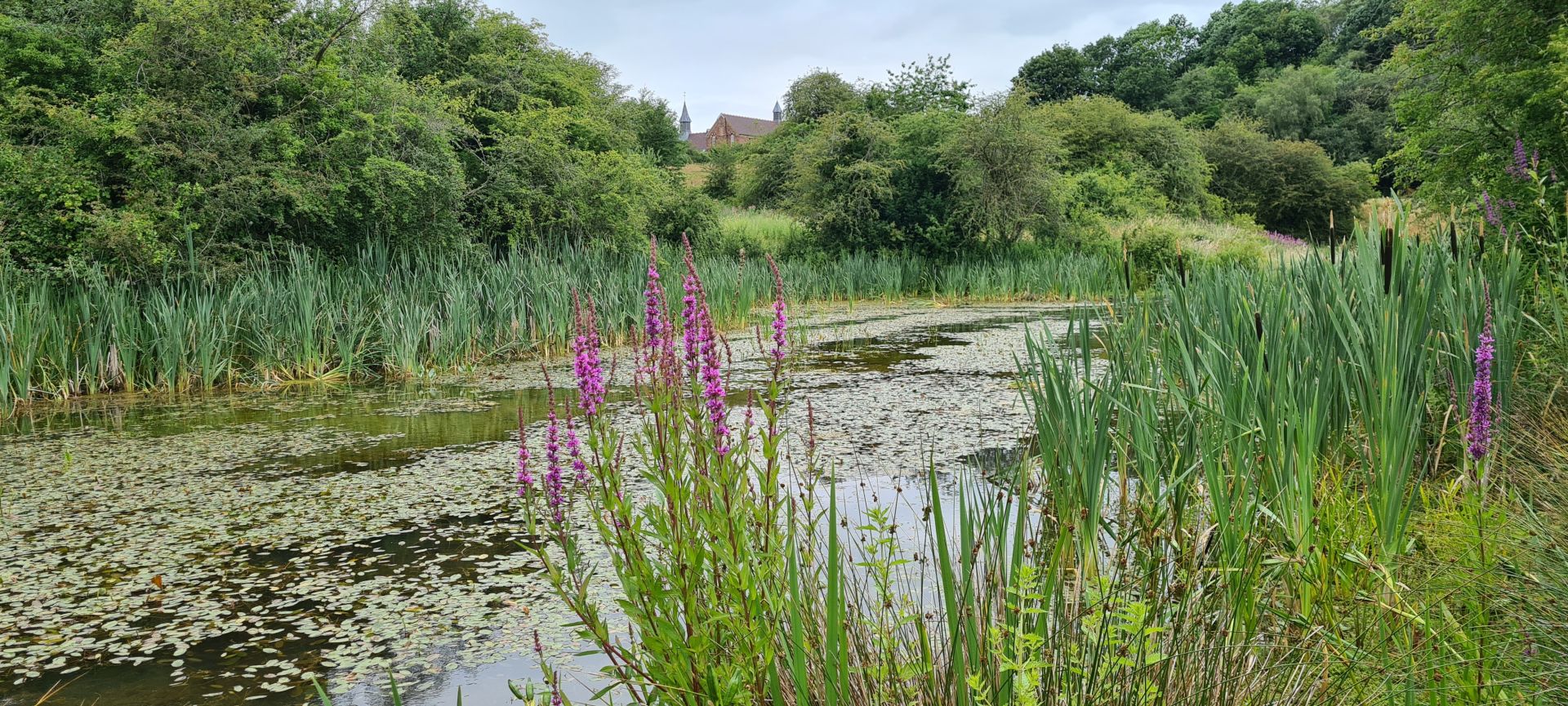Beeches Pool